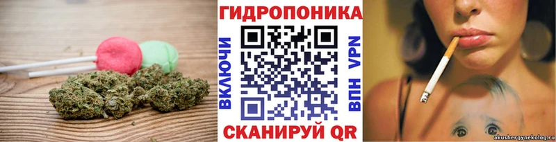 где можно купить   Елец  Cannafood конопля 