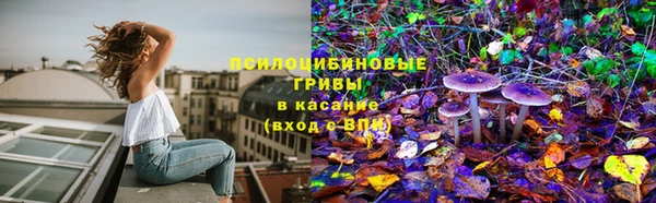 a pvp Вяземский